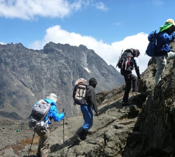 MT RWENZORI NATIONAL PARK