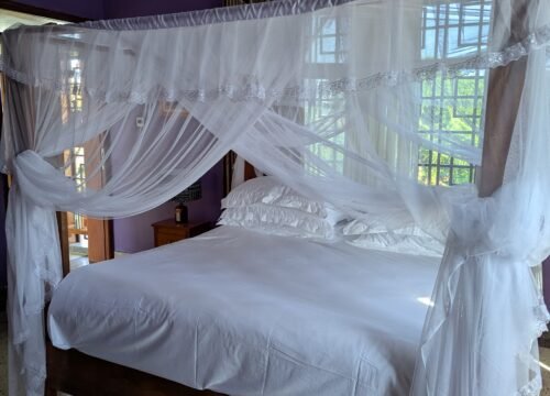 Room 2