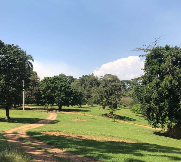 Entebbe Bontanical Gardens