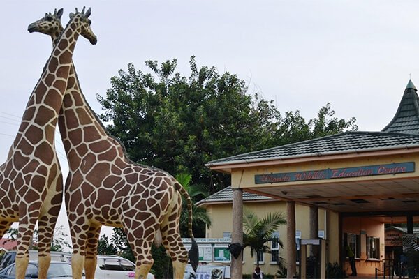 Entebbe zoo